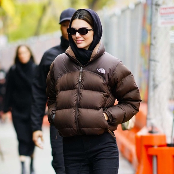 The North Face Y2K Brown 700 Down Puffer Coat Jacket Medium - Picture 13 of 13